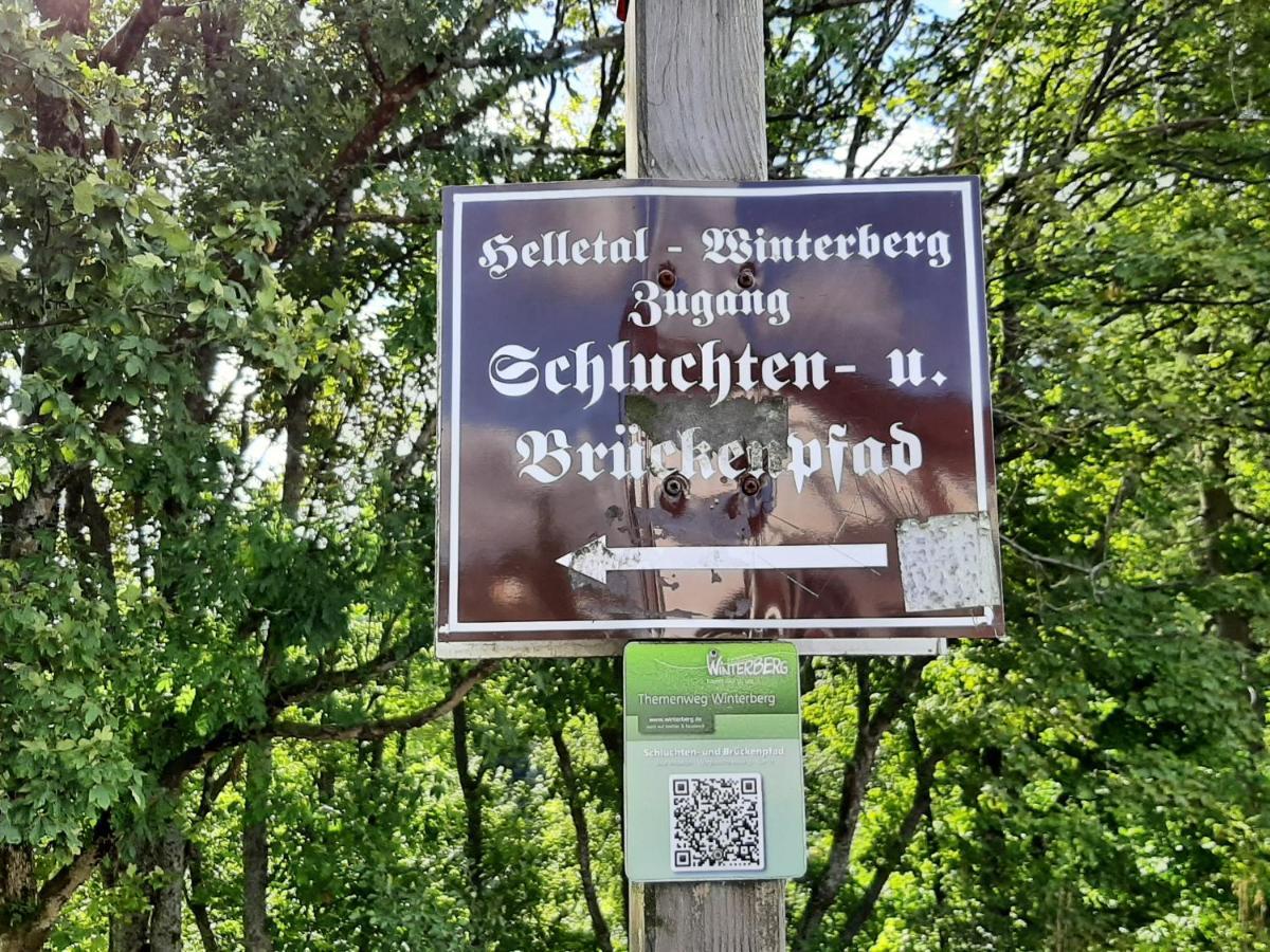 Ferienwohnung Zeitlos, Gigantischer Seeblick, Wlan, Gerne Mit Hund ヴィンターベルク エクステリア 写真